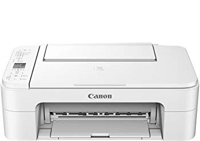 דיו / טונר Canon PIXMA TS3151